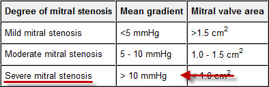 mitral measures